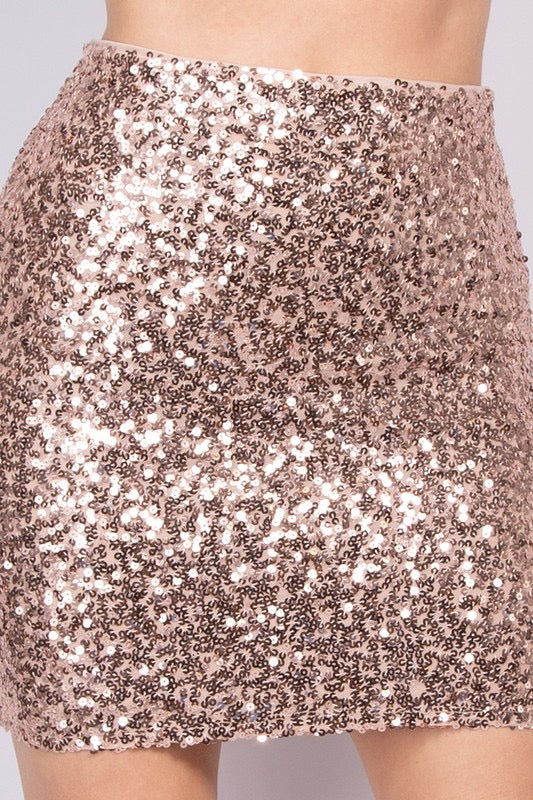 Sparkle & Shine Skirt