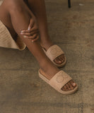 Oasis Slides